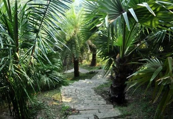 1675196292877734.jpg 微信圖片_20221029111918.jpg