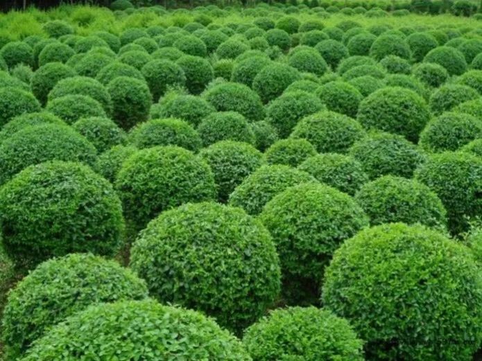 1675196368470312.jpg 微信圖片_20221128205708.jpg