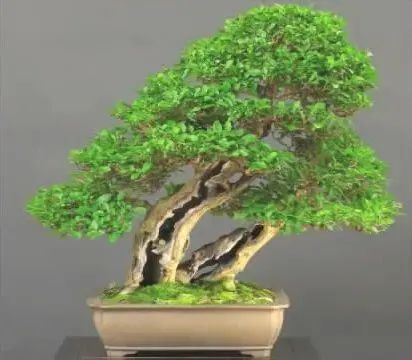 1675196376892800.jpg 微信圖片_20230106055953.jpg