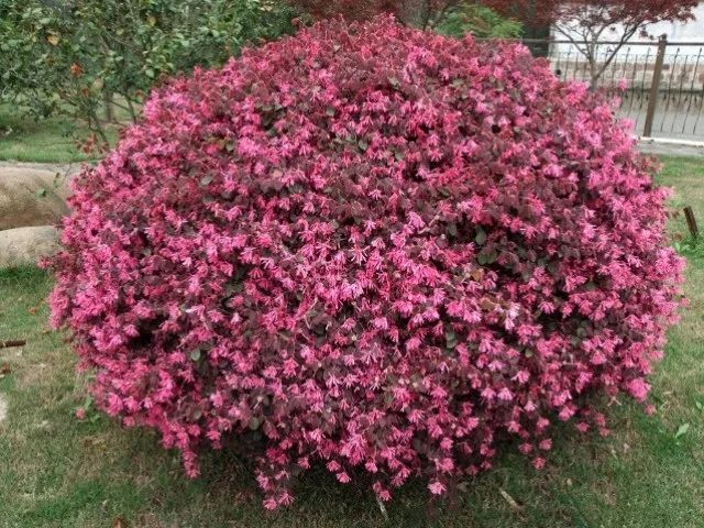 1675196384353393.jpg 微信圖片_20221128205714.jpg