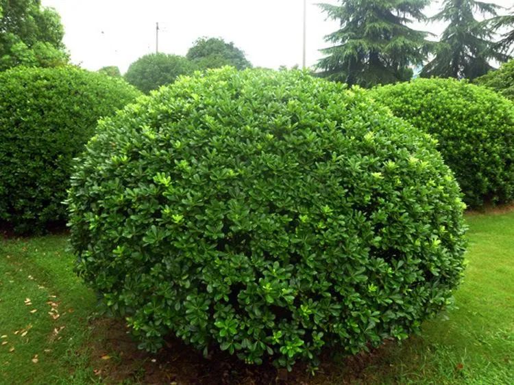 1675199811557617.jpg 微信圖片_20221028174327.jpg