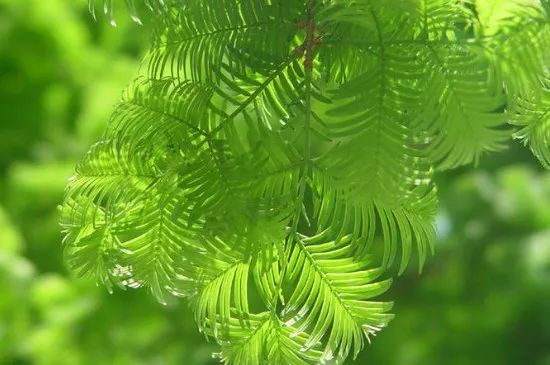 1675200177789487.jpg 微信圖片_20230201052039.jpg