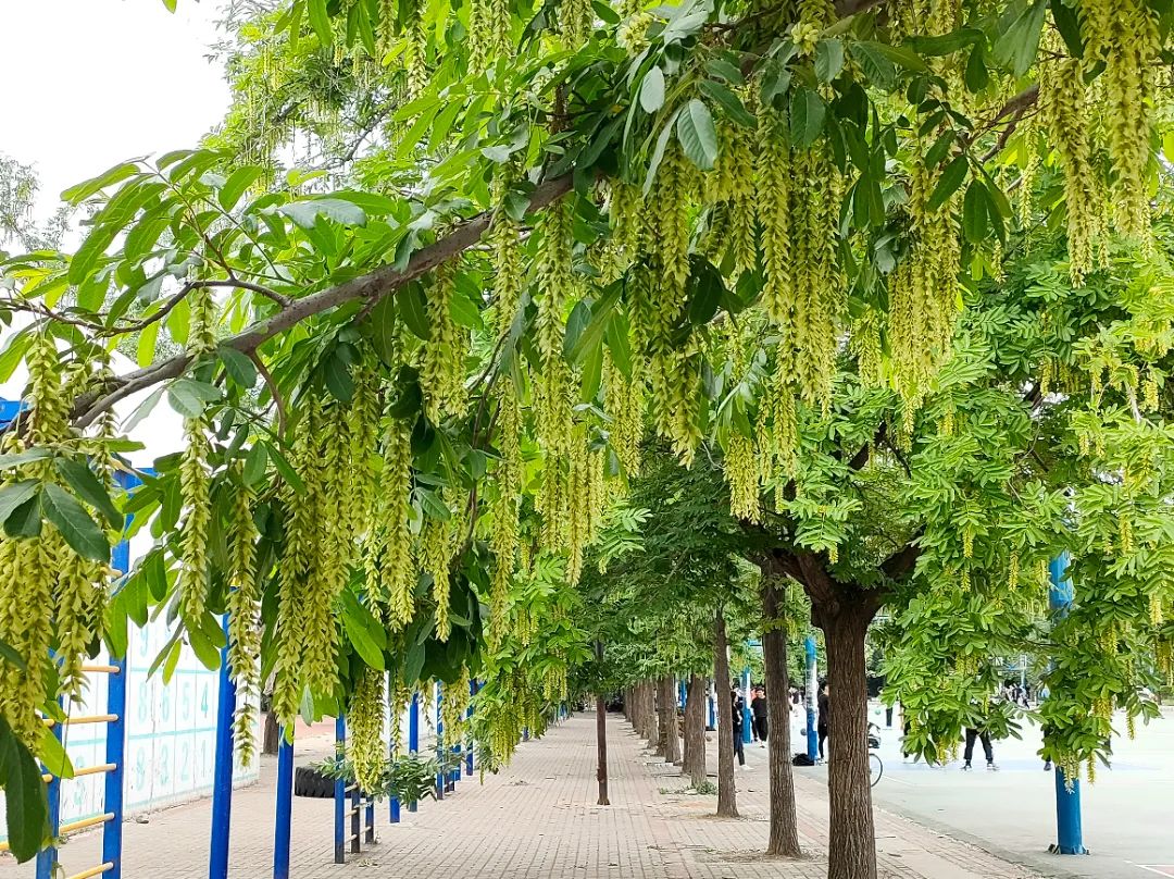 1675289683382982.jpg 微信圖片_20230202061315.jpg