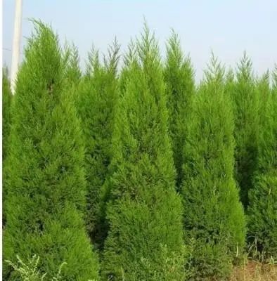 1675291444832112.jpg 微信圖片_20230107194007.jpg