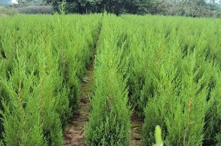 1675291451605695.jpg 微信圖片_20230107194013.jpg