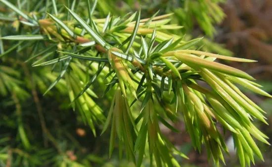 1675291522688017.jpg 微信圖片_20230107193600.jpg