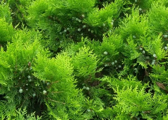 1675291553273832.jpg 微信圖片_20230107193612.jpg