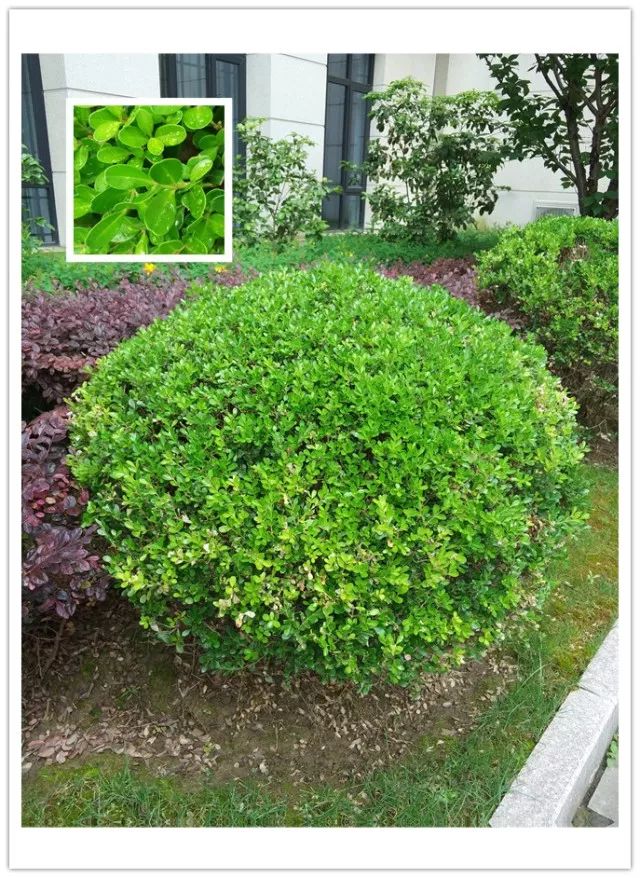 1675291655307093.jpg 微信圖片_20230112201347.jpg