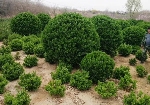 1675291679569716.jpg 微信圖片_20230107221031.jpg