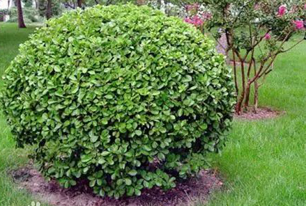 1675291689564463.jpg 微信圖片_20230107221123.jpg