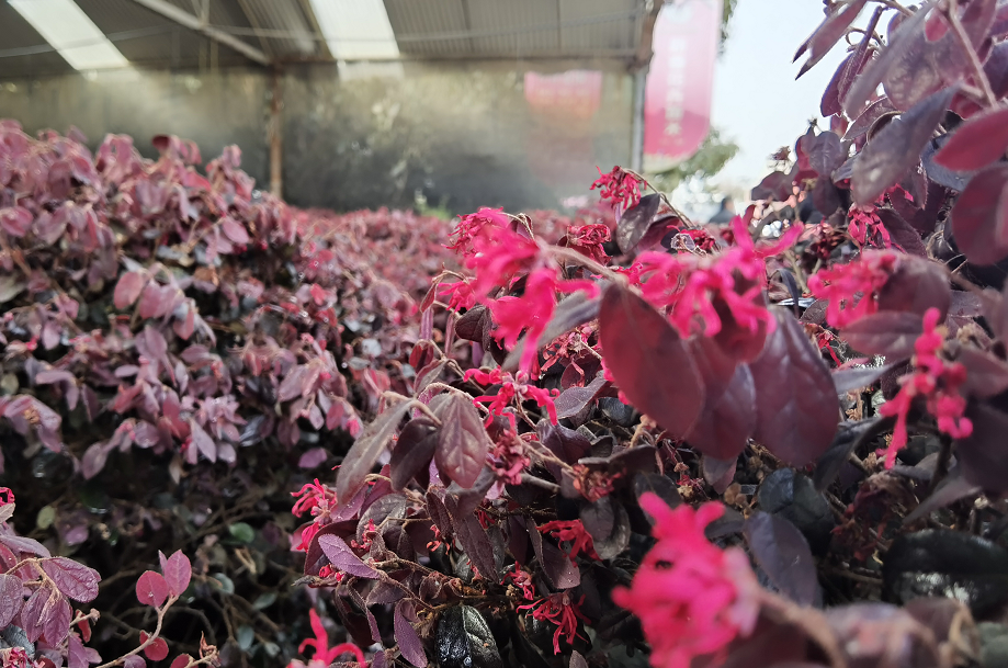 1675292095733259.png 微信圖片_20230201043806.png