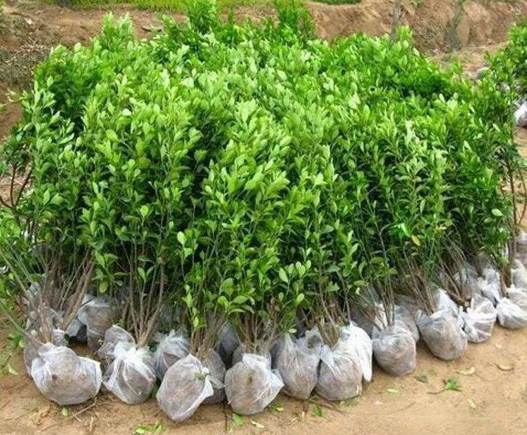 1675480132273054.jpg 微信圖片_20230107221046.jpg