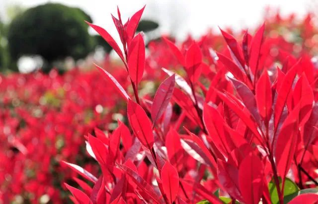 1675491780987968.jpg 微信圖片_20230204142152.jpg