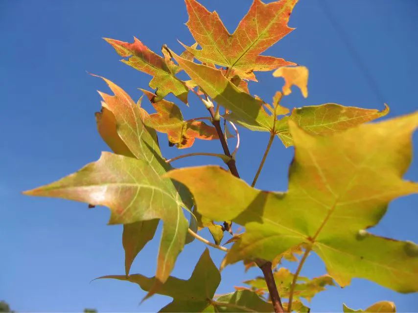 1675491850426159.jpg 微信圖片_20221024234354.jpg