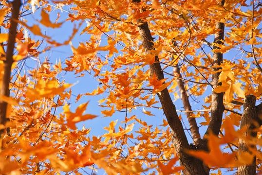 1675491857583496.jpg 微信圖片_20221024234403.jpg