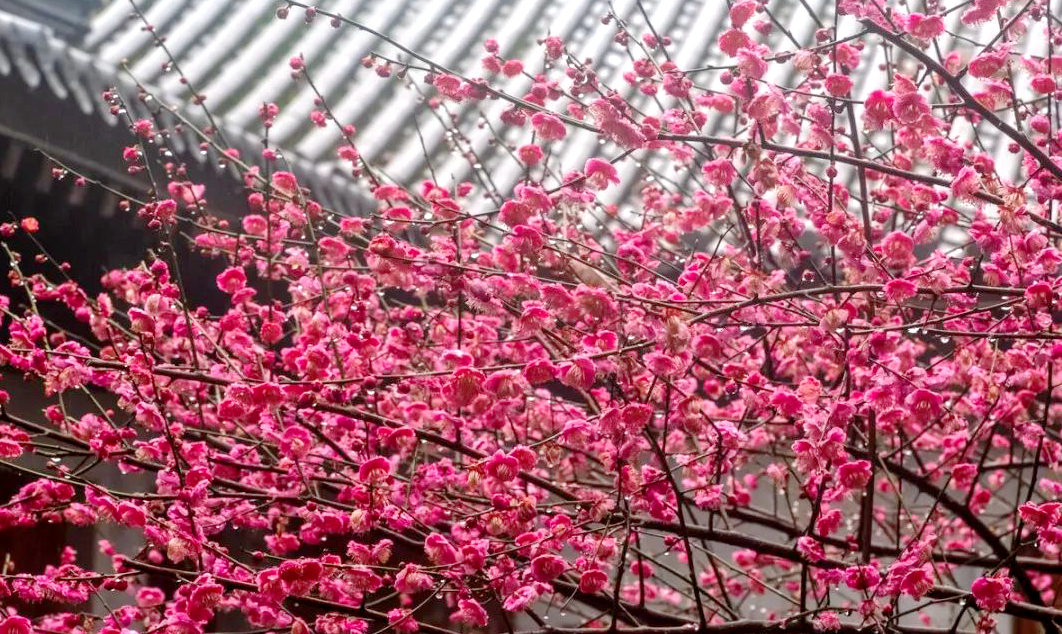 1675696188180853.jpg 微信圖片_20230108124128.jpg