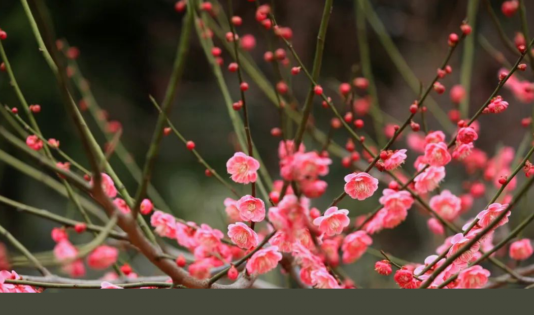 1675696198740368.jpg 微信圖片_20230108124140.jpg