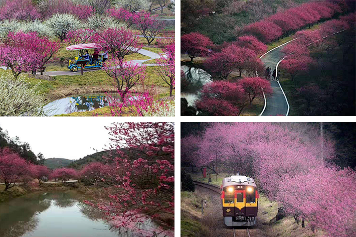 1675696208994890.png 微信圖片_20230115221911.png