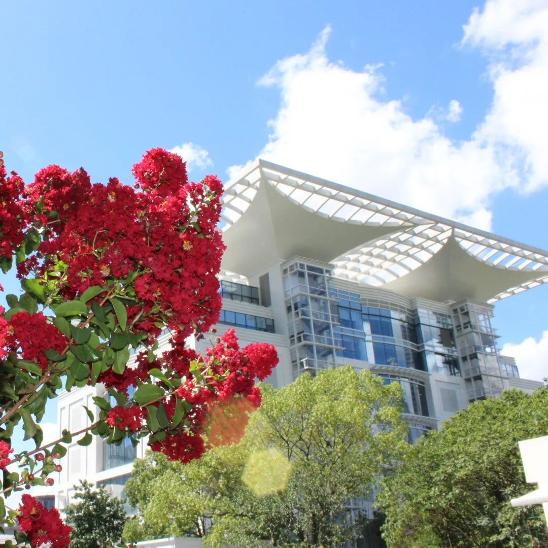 1675696340271823.jpg 紅火箭1.jpg