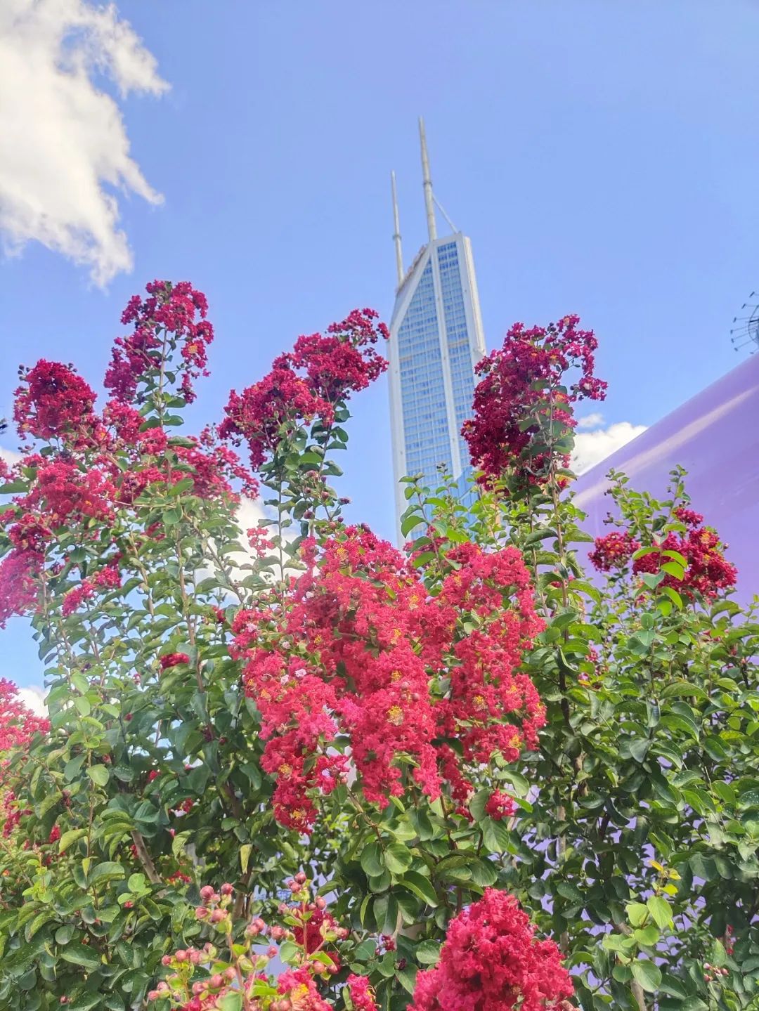 1675696352210929.jpg 紅火箭2.jpg