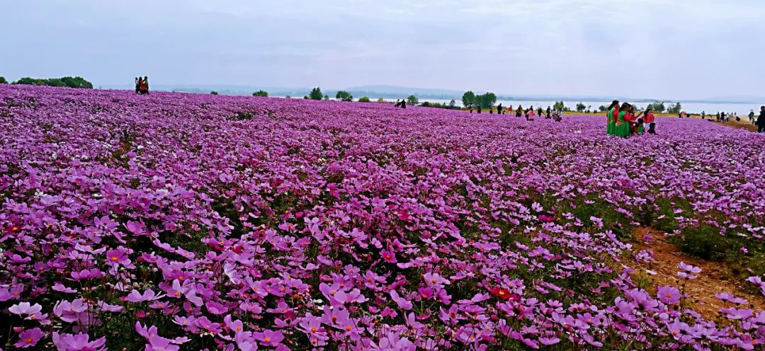 1675696489145878.jpg 微信圖片_20221120134532.jpg