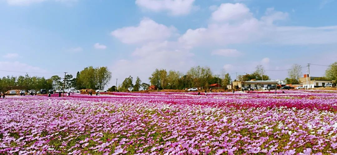 1675696496958285.jpg 微信圖片_20221120134541.jpg