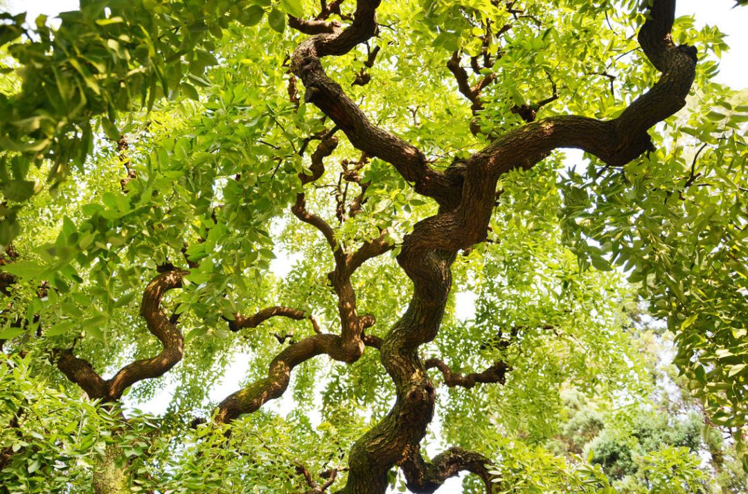 1675696570960480.png 微信圖片_20230204140514.png