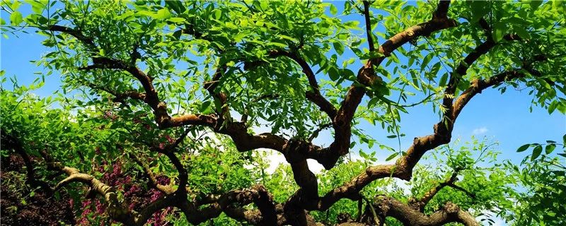 1675696577398340.jpg 微信圖片_20230204140524.jpg