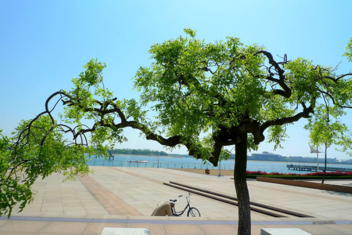 1675696583210029.png 微信圖片_20230204140527.png