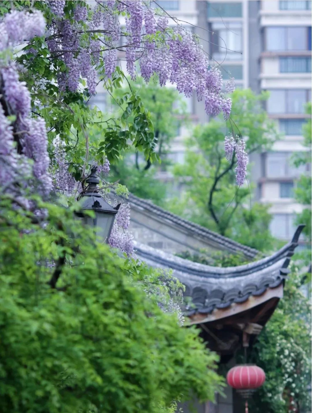 1675696732276938.jpg 微信圖片_20230206231750.jpg