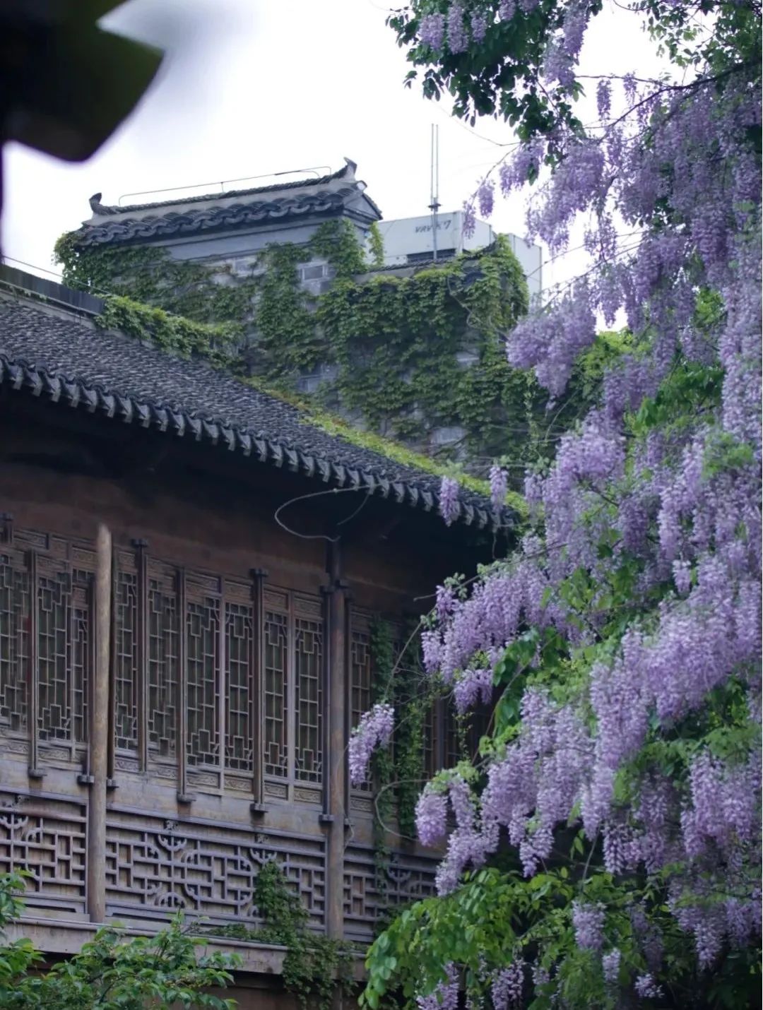 1675696752815104.jpg 微信圖片_20230206231813.jpg