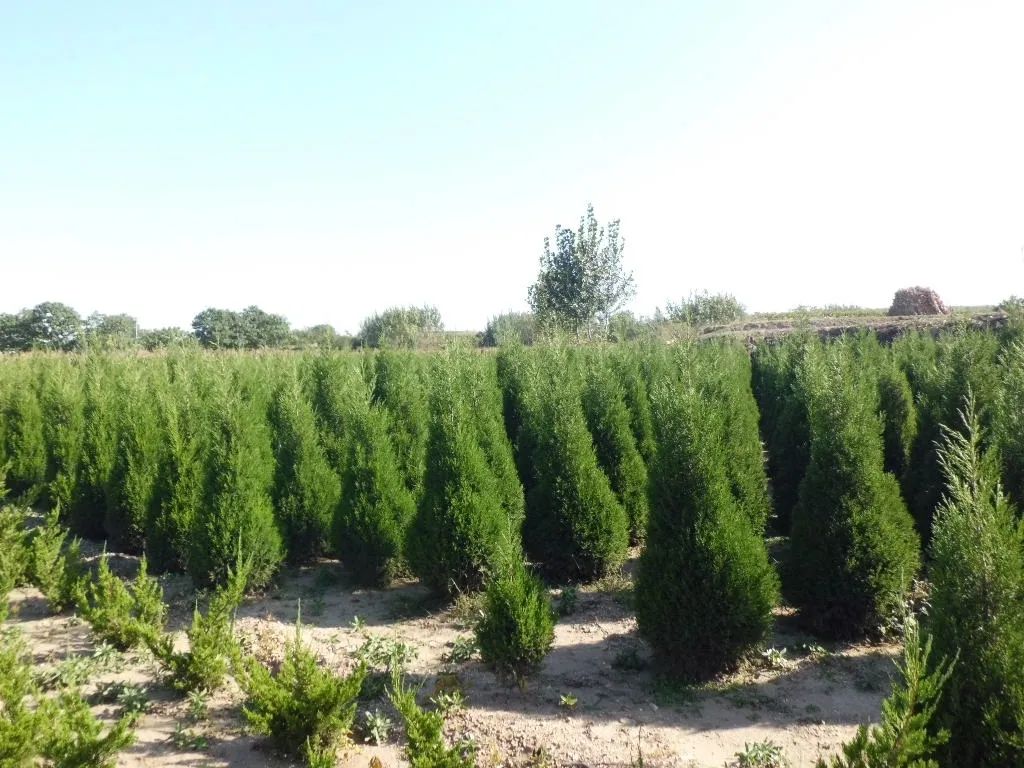 1675696915625069.jpg 微信圖片_20230112202005.jpg