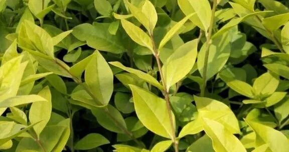 1675697023977559.jpg 微信圖片_20230108134240.jpg