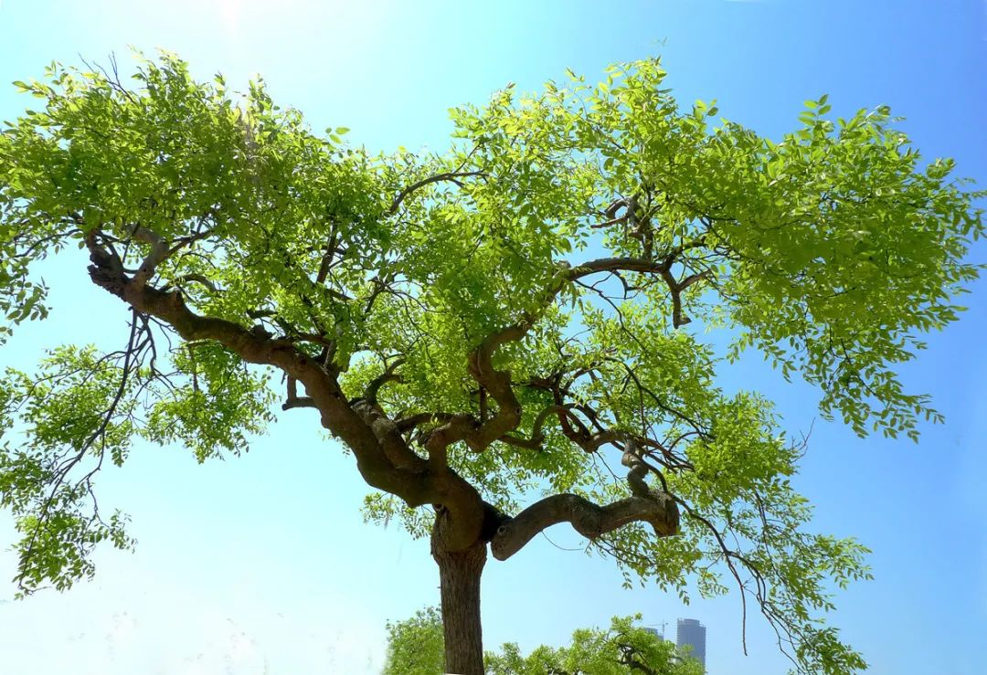 1675697246869397.jpg 微信圖片_20230204140536.jpg