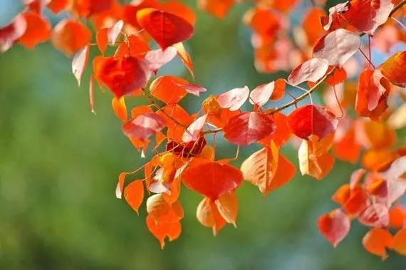 1675697473348542.jpg 微信圖片_20221101145530.jpg