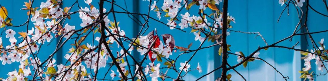 1675701397607673.jpg 微信圖片_20230107195013.jpg