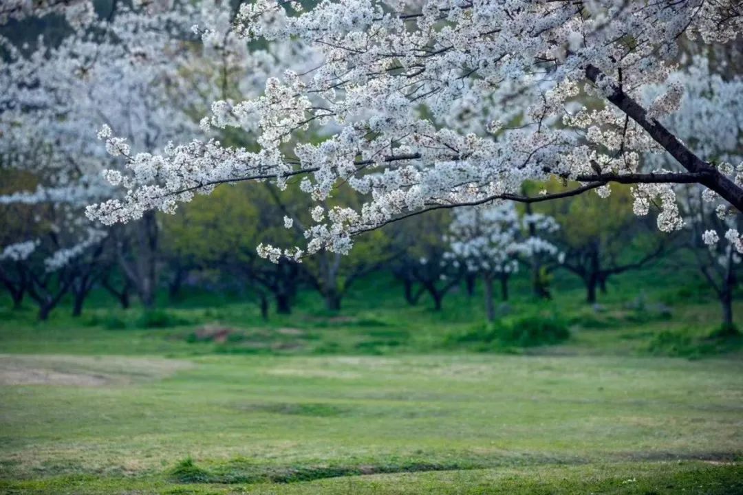 1675701606137094.jpg 微信圖片_20221101160156.jpg