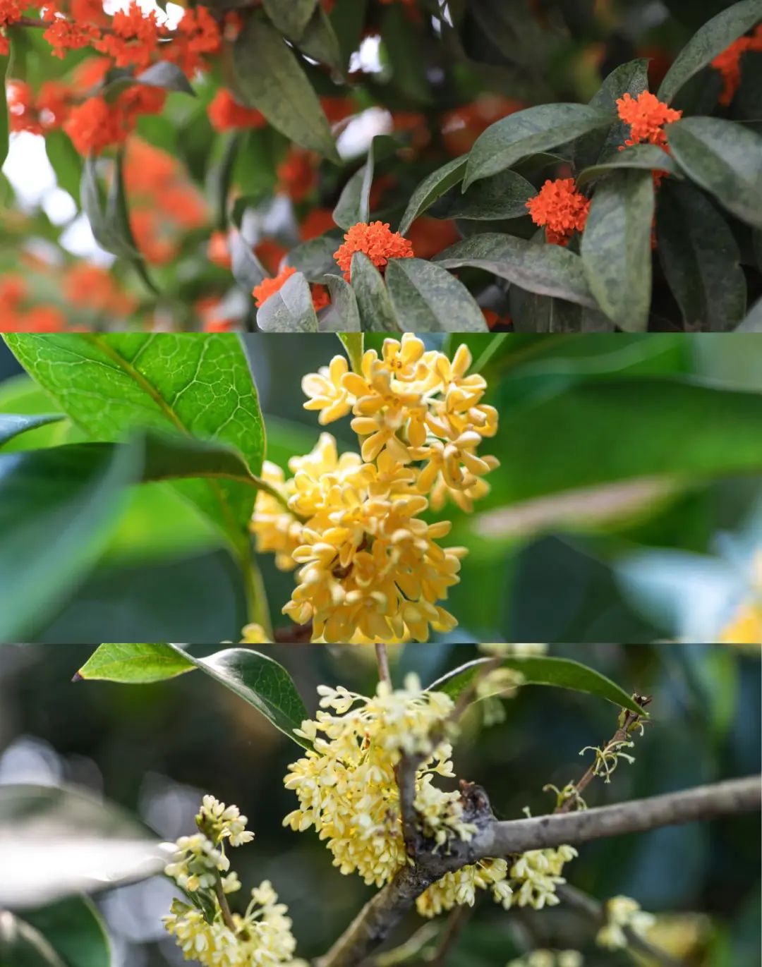 1675701701657497.jpg 微信圖片_20221026222443.jpg