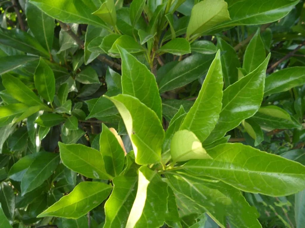 1675701859425929.jpg 微信圖片_20230110211806.jpg