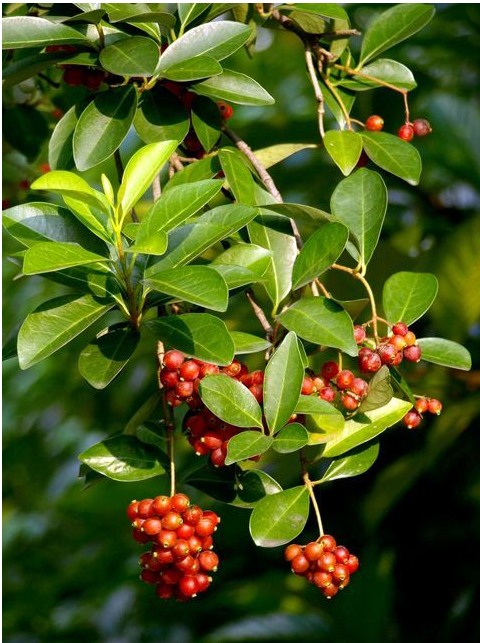 1675701865978554.png 微信圖片_20230110211816.png