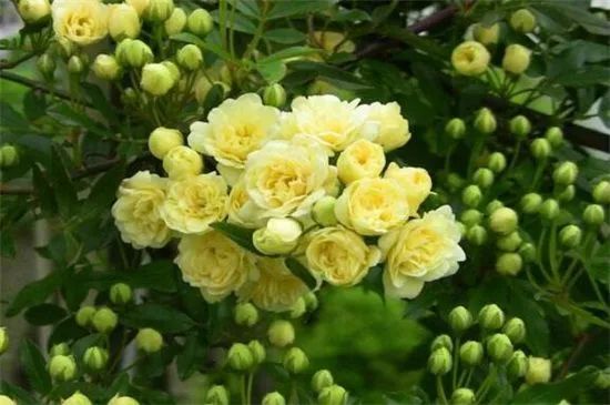 1676070026426362.jpg 微信圖片_20230108112100.jpg