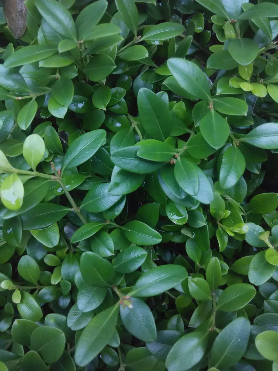 1676558319432476.jpg 微信圖片_20230204140827.jpg