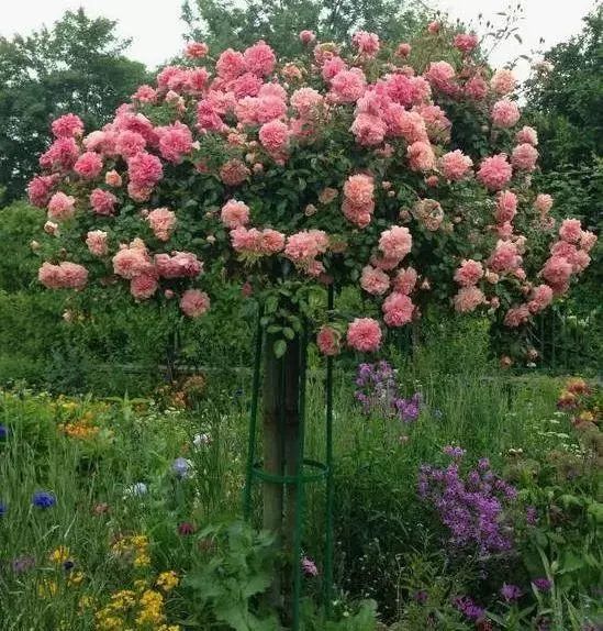 1676581706217465.jpg 微信圖片_20230211070240.jpg