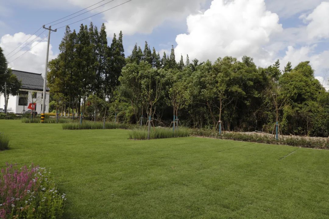 1676581921396317.jpg 微信圖片_20221119182956.jpg