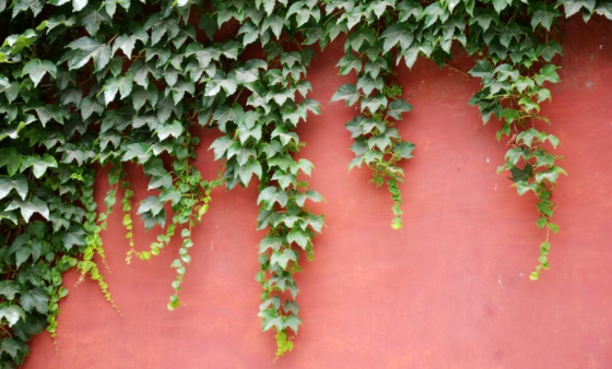 1676582329709840.png 微信圖片_20221129022421.png