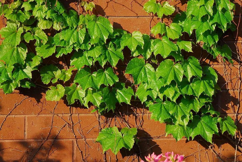 1676582375891865.jpg 微信圖片_20221129022443.jpg