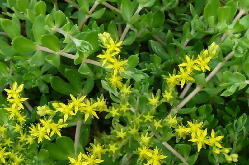 1676582575499723.jpg 1649820079680911.jpg