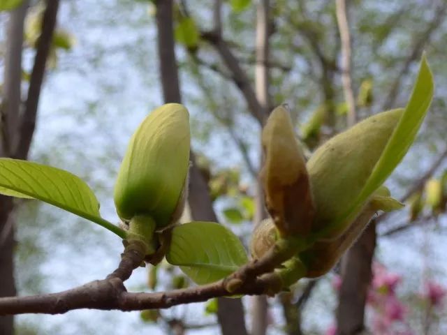 1676583123704878.jpg 微信圖片_20230113055147.jpg