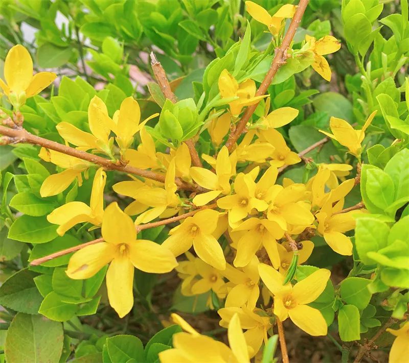 1676583189257958.jpg 微信圖片_20221120165337.jpg