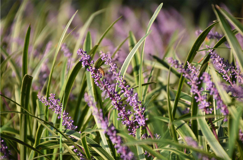 1676583460475343.png 微信圖片_20230107165727.png